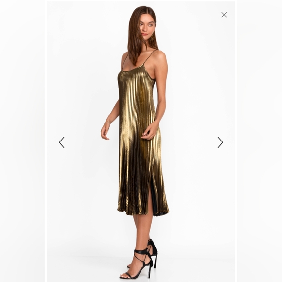 Johnny Was Golden Gem Pleated Midi Dress - Picture 3 of 14